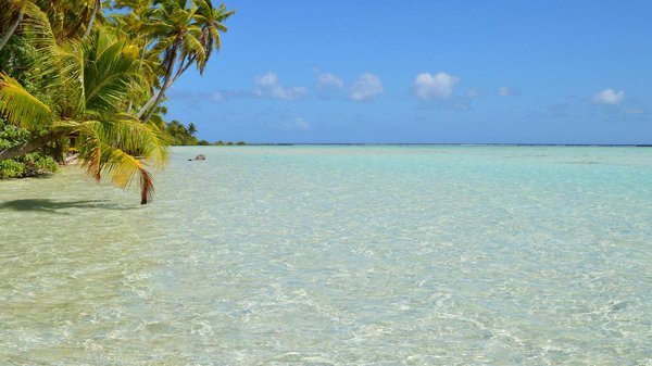 Comment organiser un camping pour une expédition d'escalade en région alpine?