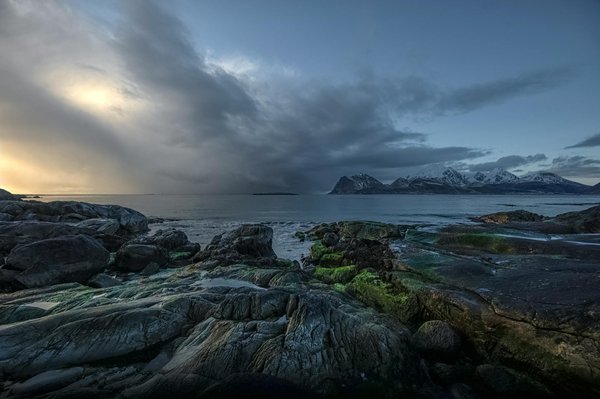 Où pratiquer le snorkeling au milieu des raies manta à Hawaii ?